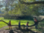 IMG_8256.jpeg