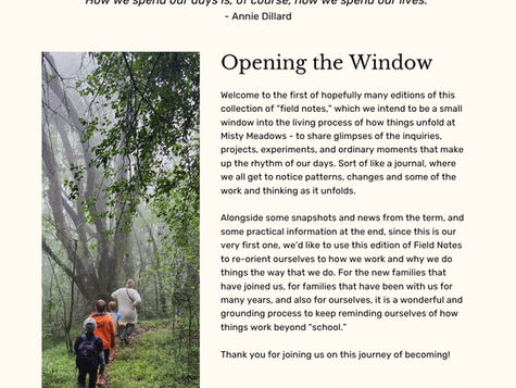 Field Notes - March 2026