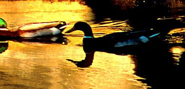 Take the Bad Out of Writing