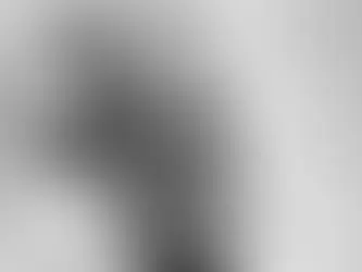 Tarr Béla: üstökösből állócsillag