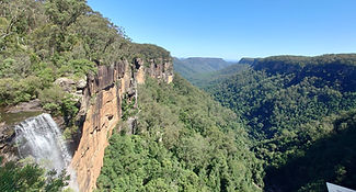 Fitzroy falls 1.JPG
