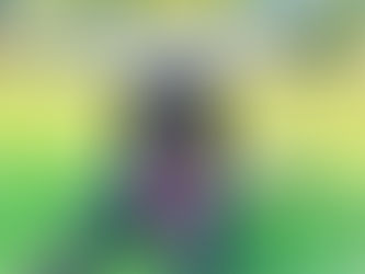 Blitz | German Shorthair Pointer | Torrance, CA | In-Training