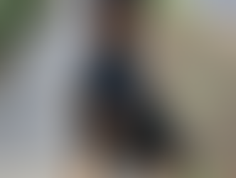 Thanos | Doberman | Winchester, CA | In-Training