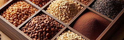 Malted barley samples
