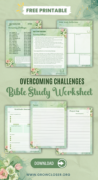 Overcoming Challenges
