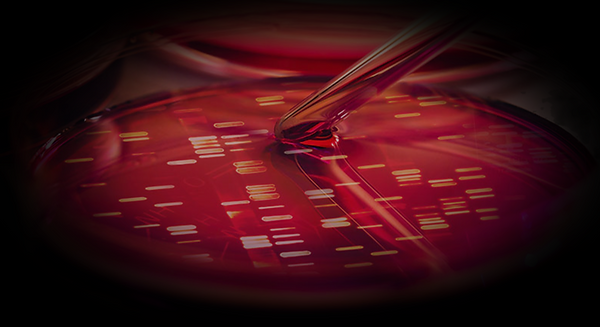 DNA analysis in petri dish_edited_edited