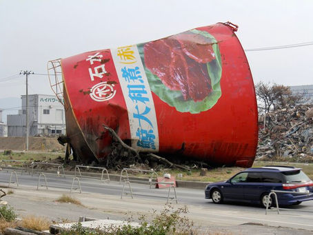 The Tohoku Earthquake and Tsunami Disaster nine years later