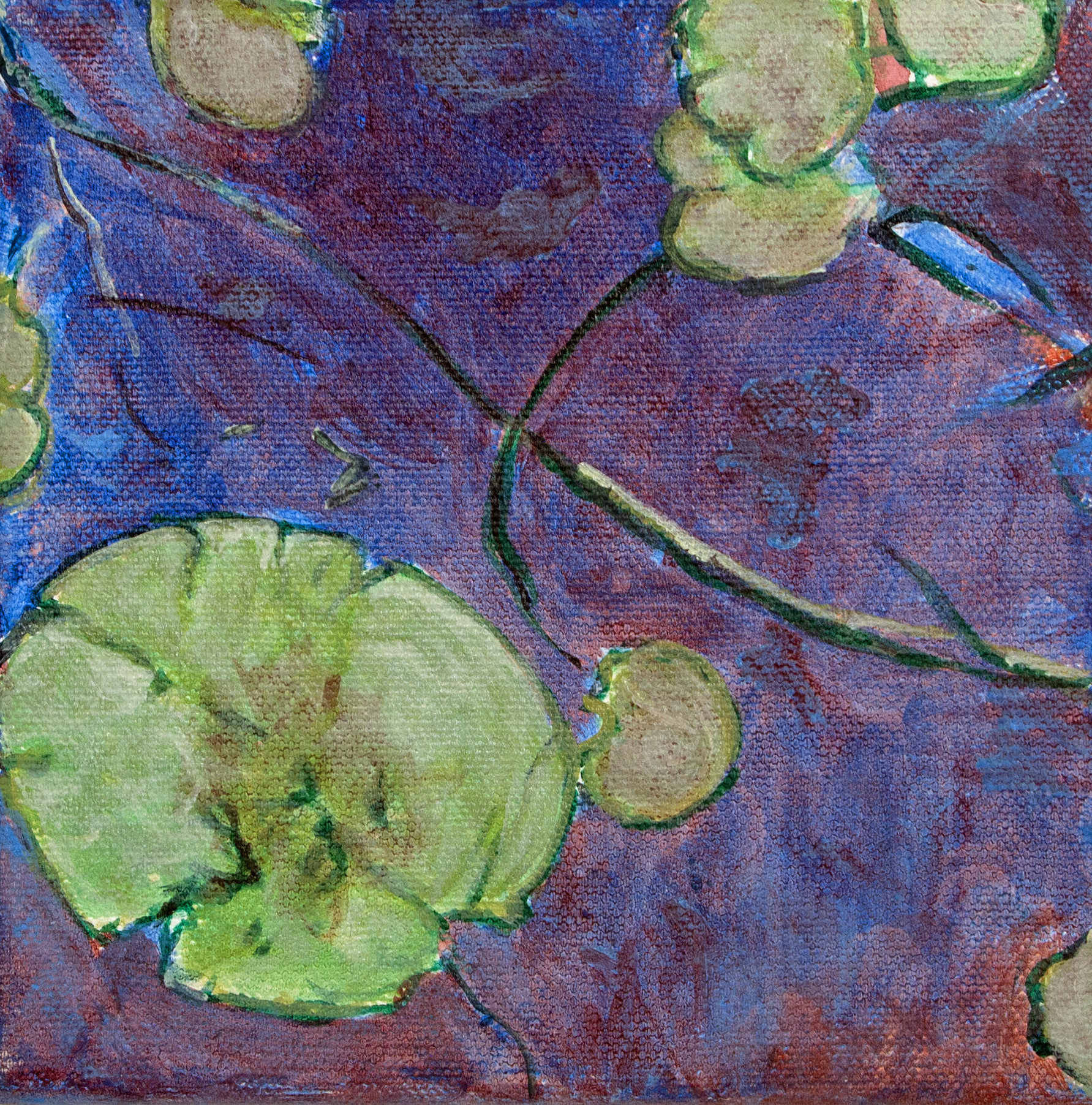Pond,LilyPads 9