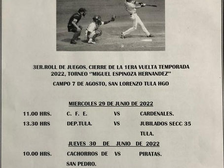 Liga de Softbol de Jubilados y Veteranos Pemex Sección 35 Tula y C.F.E.