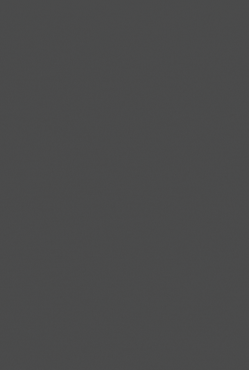 SGE homepage animation