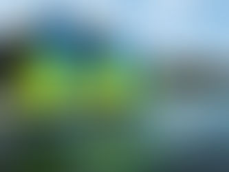 Permanence le samedi 25 octobre 2025 de 13 h 30 à 17 h 00