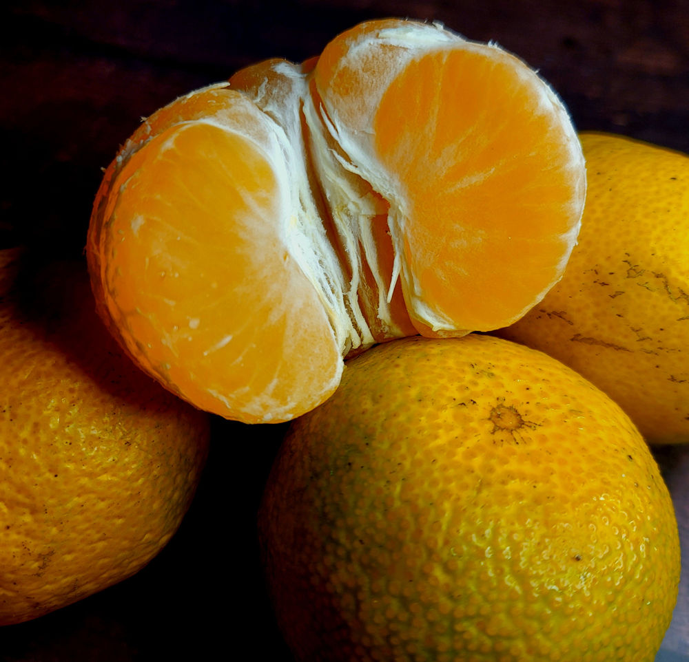 Of Satsumas and Secrets