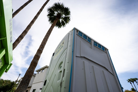 MM pt tree tall photo.jpg