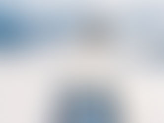 Minolta SRT101, Porta400