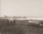 Cow grazes near piano by lake; MichaelJoyArt
