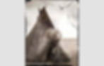 Native American teepee, MichaelJoyArt