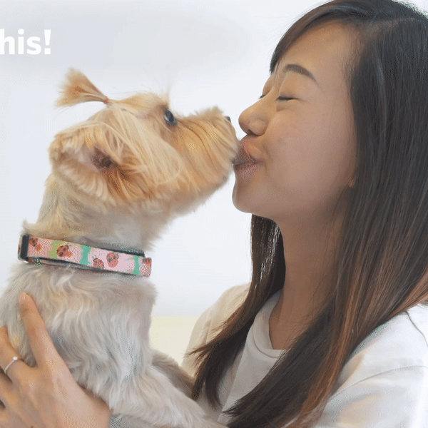 ezgif.com-video-to-gif (1).gif