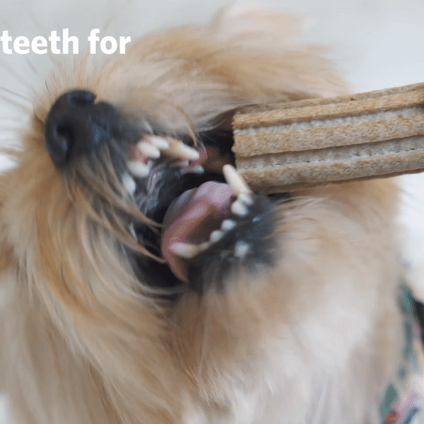 ezgif.com-video-to-gif (2).gif