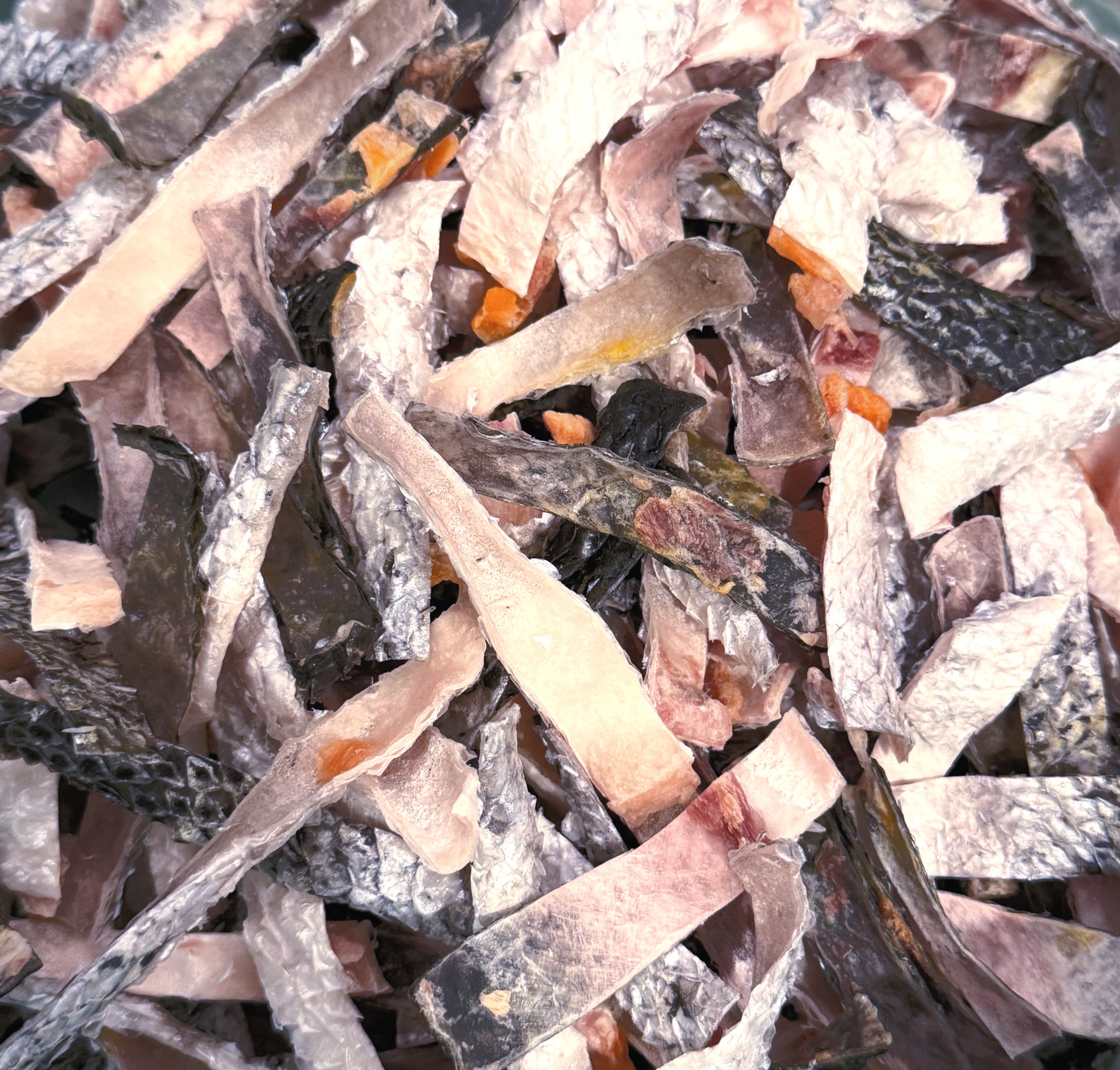 Raw Salmon Skin