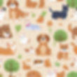 background for pets_edited.jpg