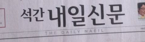 The Daily Naeil