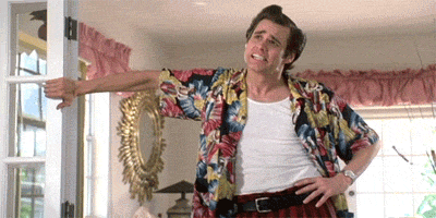 giphy (1).gif