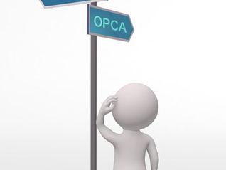 Le financement de la formation par les entreprises et les OPCA