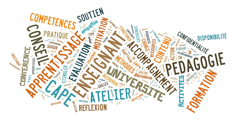 compétence, pedagogie, capital humai