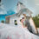 Thumbnail: Starry Wedding