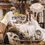 Thumbnail: Venus Bridal House