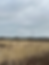 Dartford Marshes