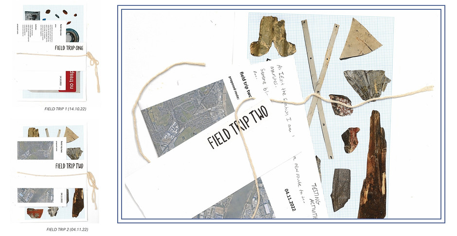 Pages from Unit 2 Portfolio and Learning