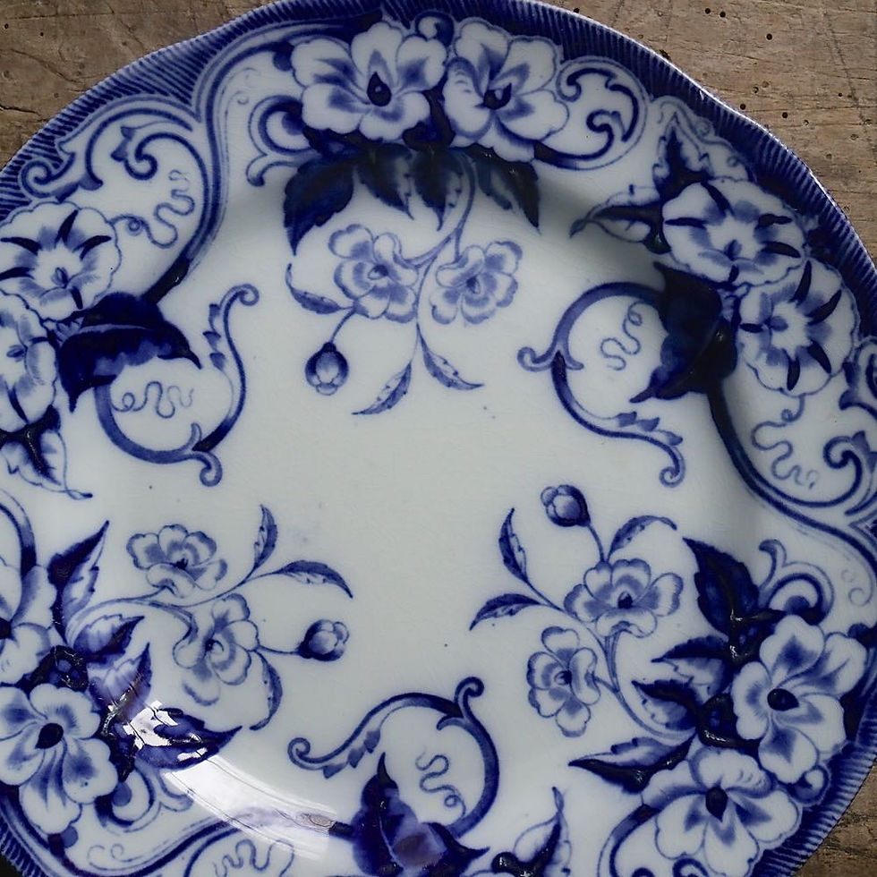 サムネイル： 19_02_29 Creil et Montereau  FLORA 平皿