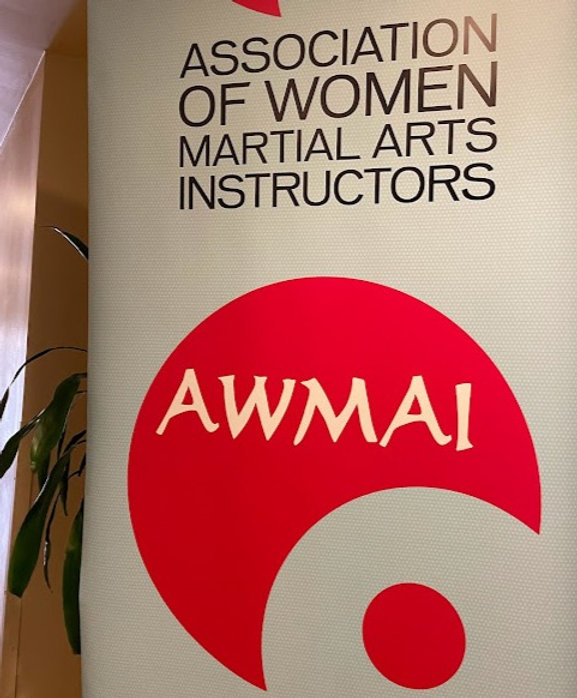 Awmi Conference Reflections on the 2023 AWMAI Conference