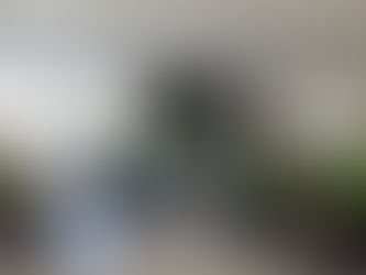 CURSO DE MOTOSIERRA Y DESBROZADORA STIHL