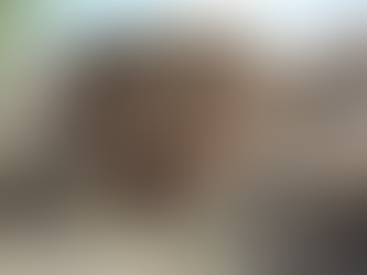 EL HORNO ALFARERO (antiguo horno pitarra )