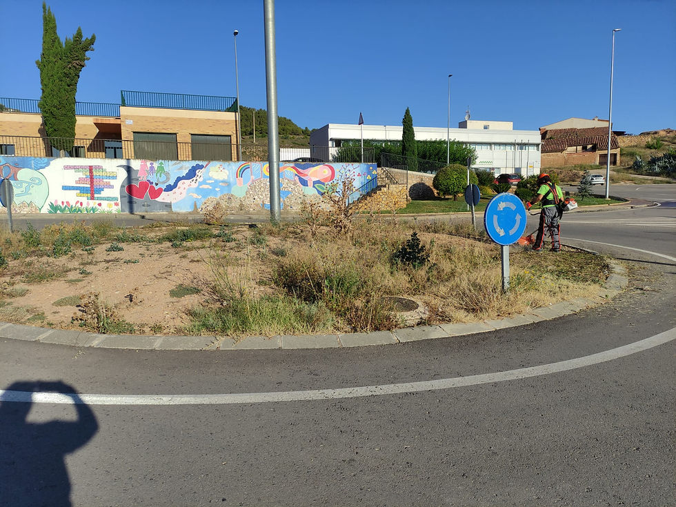 RESTAURACION DE LA ROTONDA