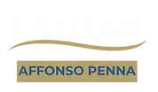 LOGO BRANCO - AFFONSO PENNA.webp