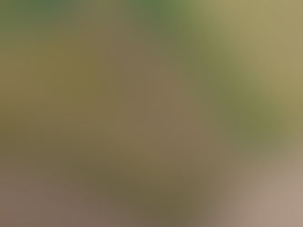 I think we are ready to go Camping