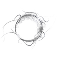 Eye Logo - 1.png