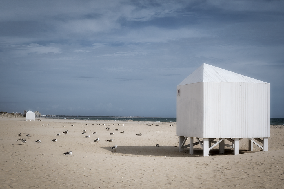 Sunbathers and Beachcombers April 25, 2026