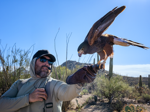 Tucson, Arizona, Part 1: December 14 - 17, 2025