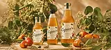 Cajuices_Concept.webp