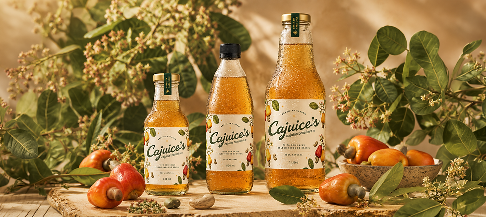 Cajuices_Concept.png