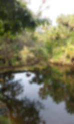florida scenic.jpg