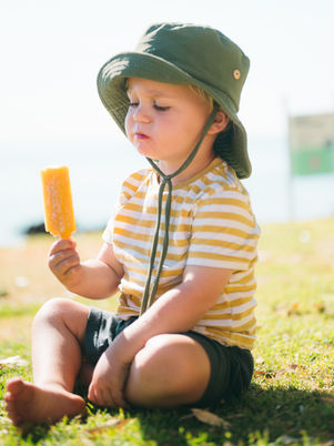 La Paleta summer ice cream icey pole mango 