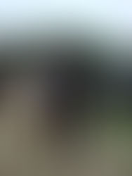 Werkgroep Binnenlandse Strijdkrachten