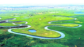 okavango-delta-5158380_1280[1]_edited_edited.jpg