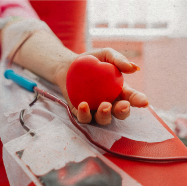 Junho Vermelho: A solidariedade pode salvar vidas