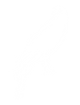 hawk_website_edited.png